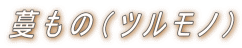 ́icmj 